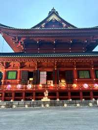 【日光東照宮】歴史と自然が織りなす絶景🇯🇵