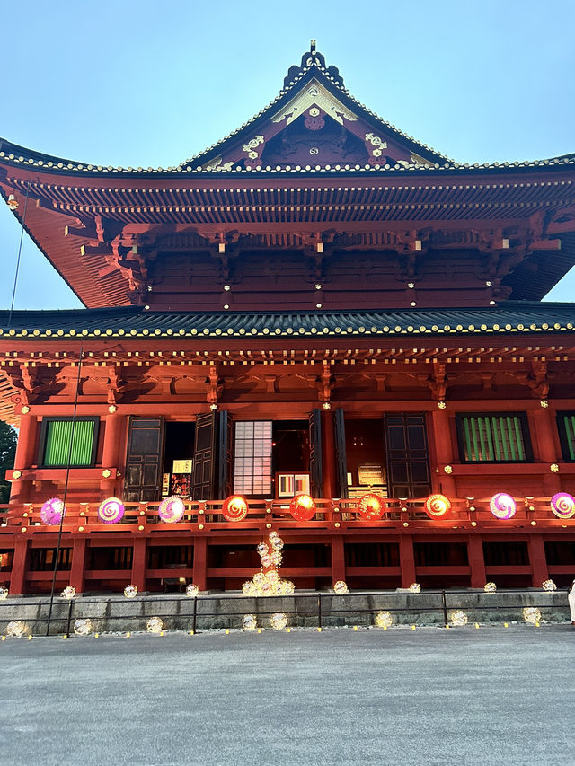 【日光東照宮】歴史と自然が織りなす絶景🇯🇵