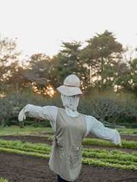 📍千葉県立房総のむら