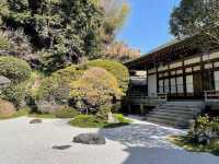 【報国寺境内】