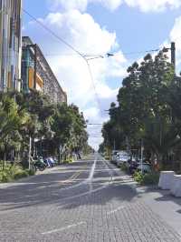 【New Zealand】オークランドで自然も街も楽しもう🌿