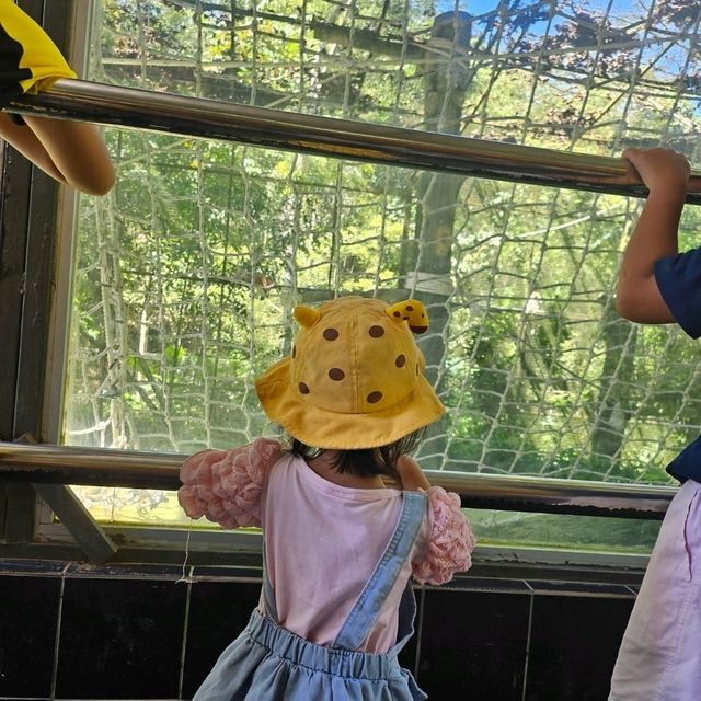 LOKAWI WILDLIFE PARK 
