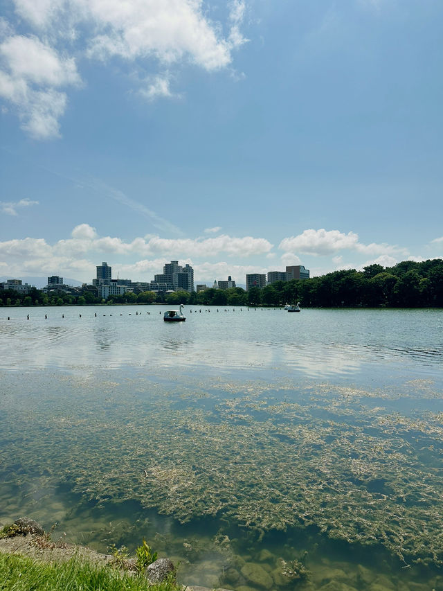 후쿠오카의 심장, 오호리공원을 다녀왔어요! 🌳✨