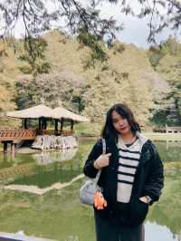 One Day Trip from Taipei to Alishan🏞️🍁