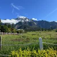 Malaysia’s Own New Zealand: Kundasang Escape🌸