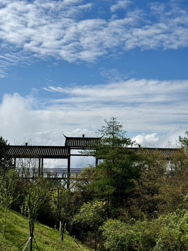 🇨🇳 Nature's Masterpiece: Exploring Three Gorges on Land