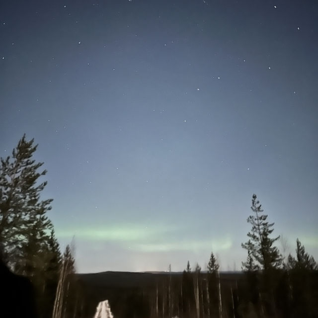 Catching Auroras 