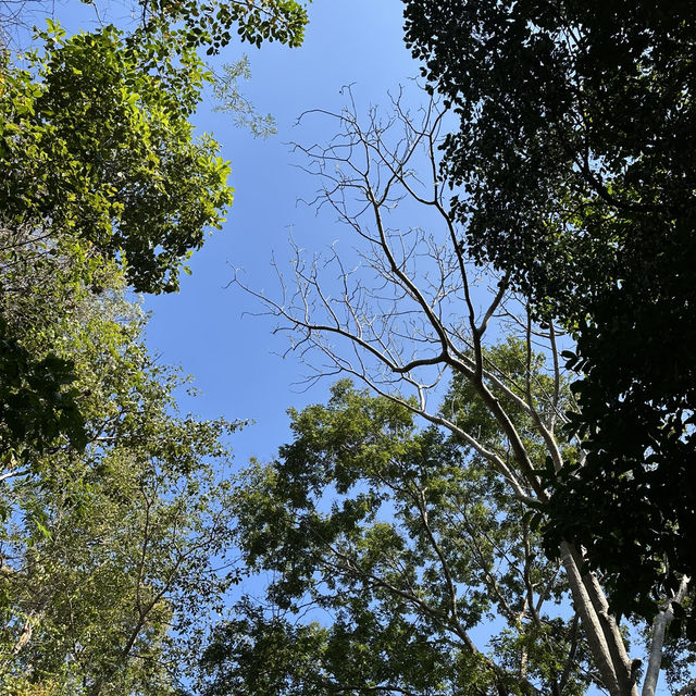 รีวิวหินช้างสี – แหล่งท่องเที่ยวสุดฮิตที่ขอนแก่น 🏞️