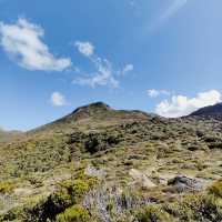 Hartz Mountains National Park