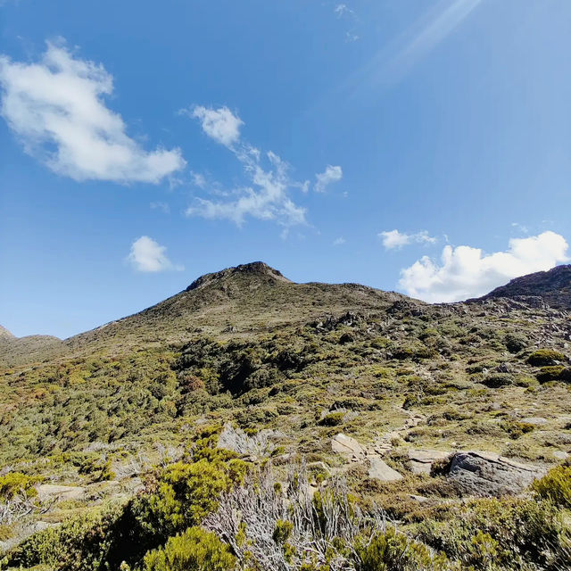 Hartz Mountains National Park