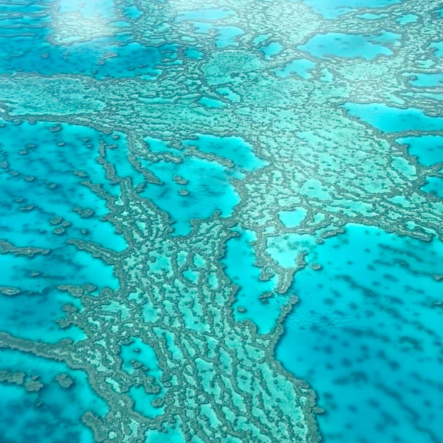 Whitsunday Wonders: A Helicopter Ride to Heaven on Whitehaven Beach
