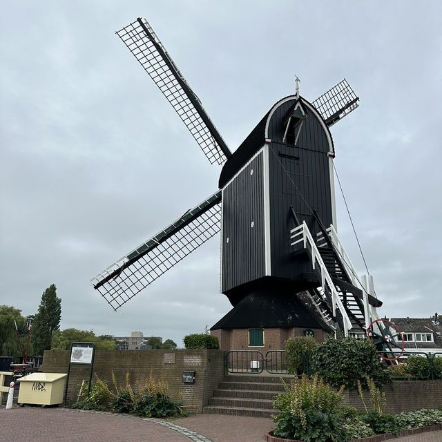 Picturesque park in Leiden