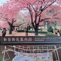 東京景點