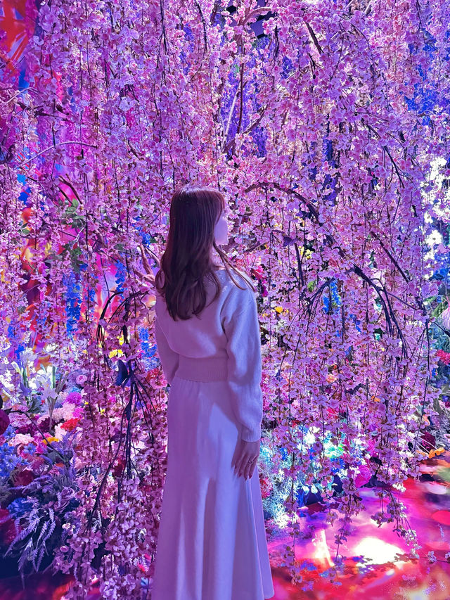 京都 ❤︎ 話題のここ行った⁉️まるで異世界の色彩美💐 