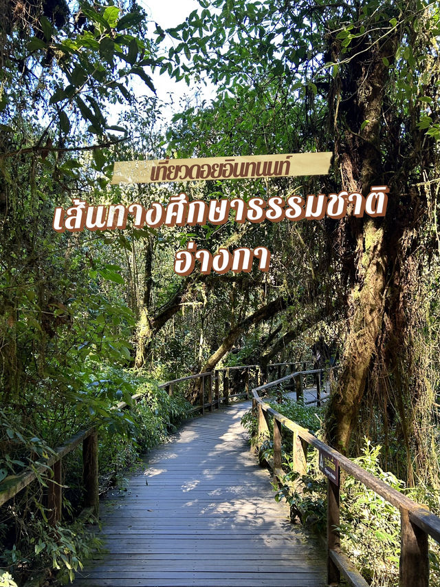 เส้นทางศึกษาธรรมชาติอ่างกา🌳