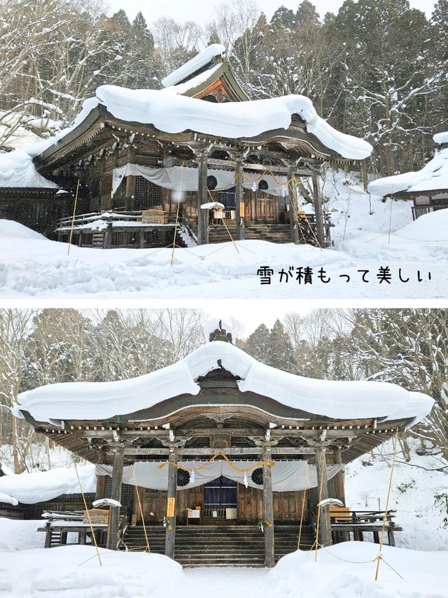 【長野／長野市】雪が降る戸隠神社の杉並木と中社⁡