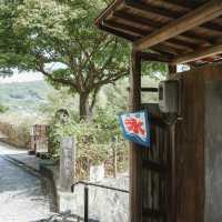 【尾道】自然に囲まれた穴場喫茶