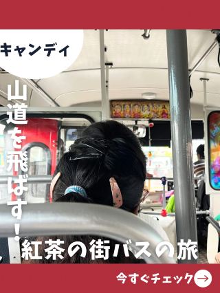 【斯里蘭卡女生一人旅】從努沃勒埃利耶到康提！有點可怕的巴士移動攻略！
