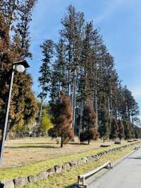 【宮城県】伊達家の菩薩寺　瑞巌寺