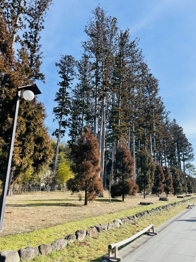【宮城県】伊達家の菩薩寺　瑞巌寺
