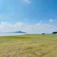 นิวซีแลนด์เมืองไทย