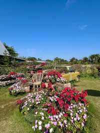 I Love Flower Farm
