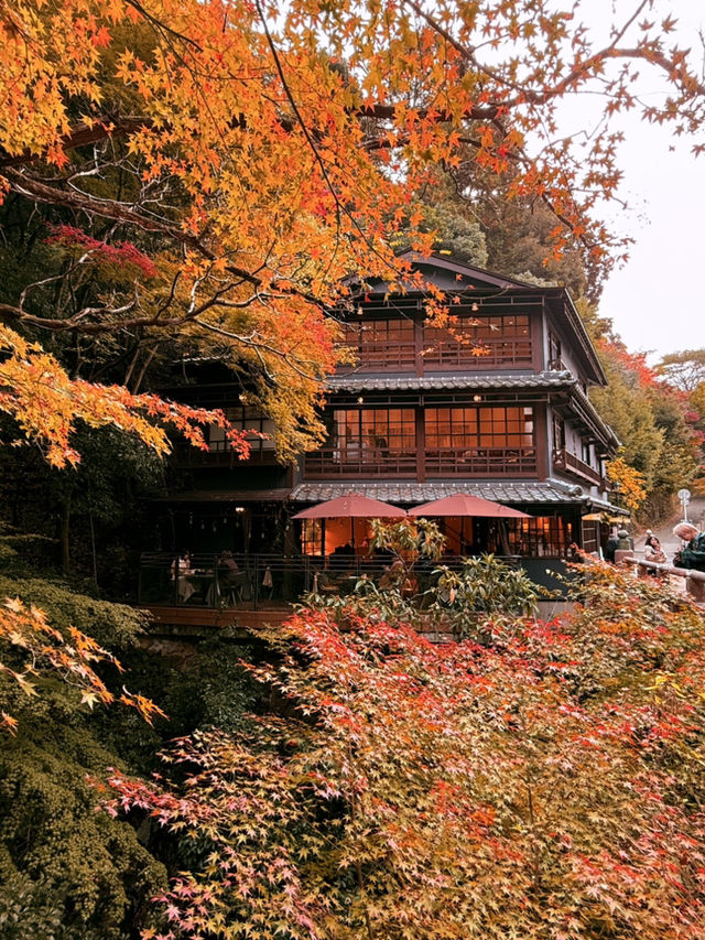 大阪｜近郊的世外桃源-箕面公園 紅葉季還能嚐炸楓葉