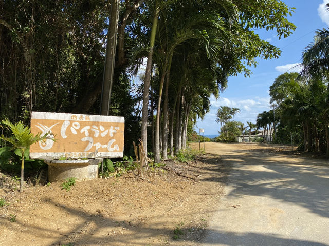 西表島