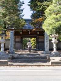 【埼玉県/川越】桜だけじゃない！中院の魅力