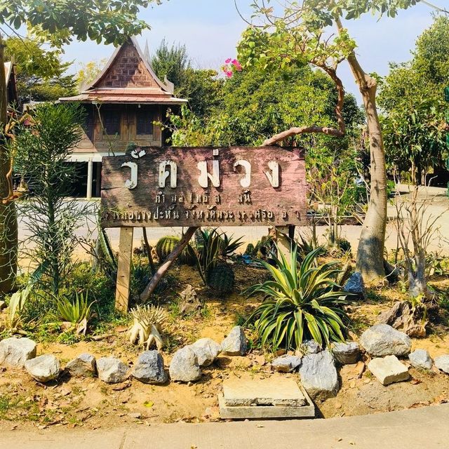 ⛩ มาทำบุญ ถ่ายรูปความสวยงามที่ วัดม่วง