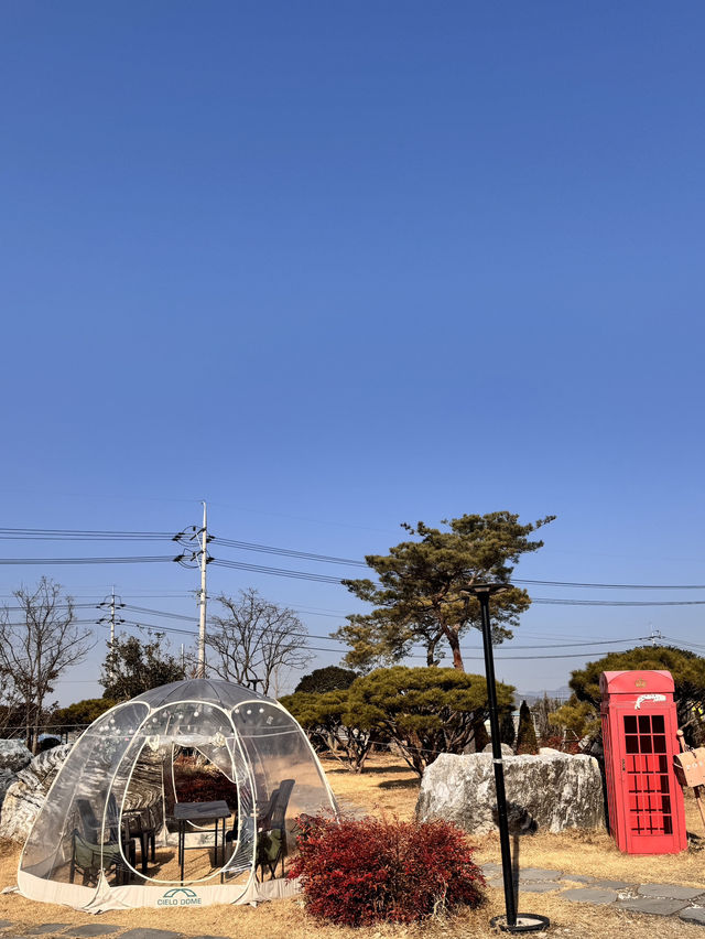 나주 야외정원에서 비눗방울 놀이를 할 수 있는 카페, 카페정원