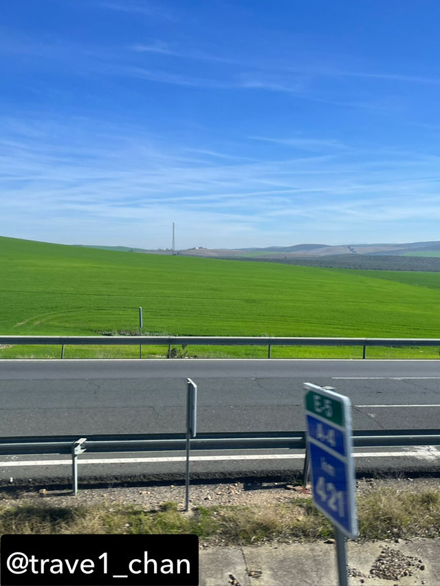 【スペイン🇪🇸セビーリャ、セビリア】オレンジと青空と歴史の美しさ