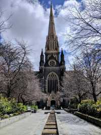 南半球最高的教堂：聖巴特利爵主教座堂 Saint Patrick's Cathedral