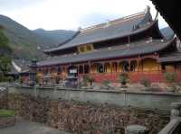 佛教文化：寧波天童寺之旅