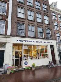 유럽여행 암스테르담 운하의 Amsterdam Tulip Museum
