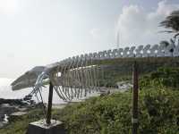 Cape D'Aguilar: A Coastal Hike Through Hong Kong's Natural Wonders