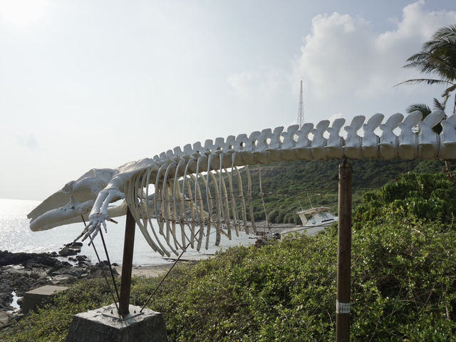 Cape D'Aguilar: A Coastal Hike Through Hong Kong's Natural Wonders