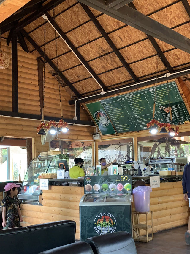 Cedar cafe ป่าสน เขาค้อ