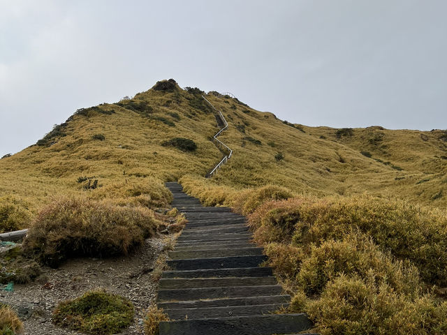 登上合歡山瞭望台，俯瞰雲海與群山的壯闊美景