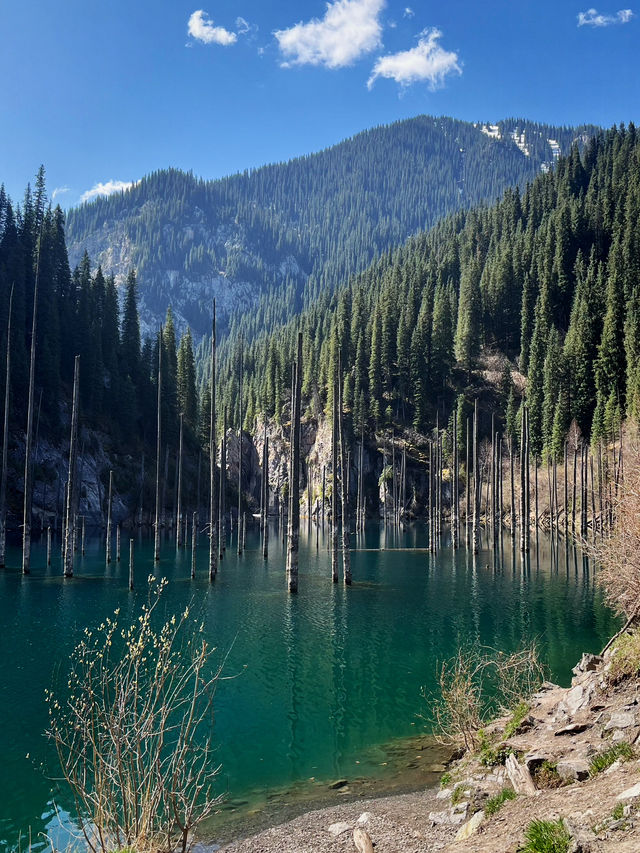 Kaindy Lake is a Ghostly Underwater Forest 🥰
