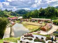 Betong Winter Flowers Garden