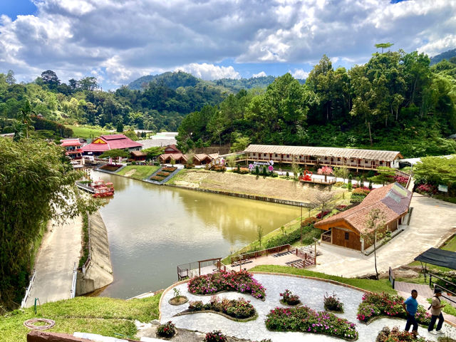Betong Winter Flowers Garden
