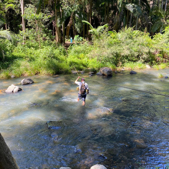 Lamington National Park: A Trekker's Paradise