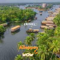 🌅 Awesome Views of Alleppey – A Picture-Perfect Paradise! 🚤🌴