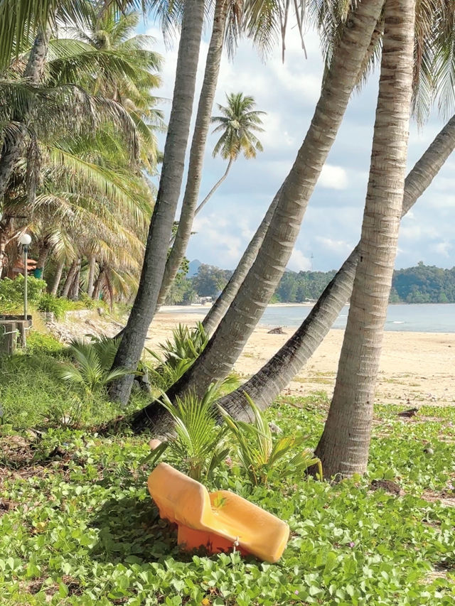 ทะเลสวย หาดทรายขาว ที่หาดทุ่งวัวแล่น ชุมพร