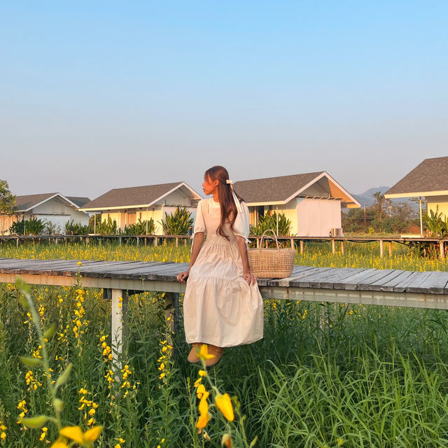 🧺ที่พักนครนายก ใครไปก็ต้องหลงรัก🫶🏻🪿🍃