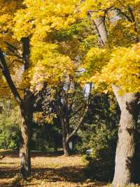 A Magical Autumn Journey Through Kazakhstan & Kyrgyzstan