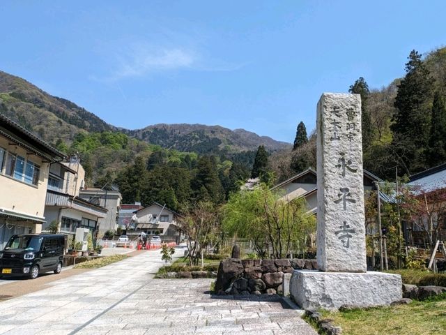 レトロ感あふれる🏮山代温泉雄山閣