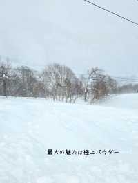 【新潟／南魚沼】雪質極上！パウダーが楽しい「かぐらスキー場」⁡