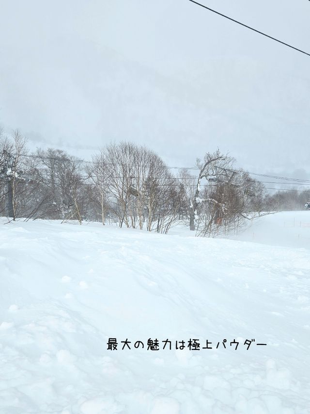 【新潟／南魚沼】雪質極上！パウダーが楽しい「かぐらスキー場」⁡
